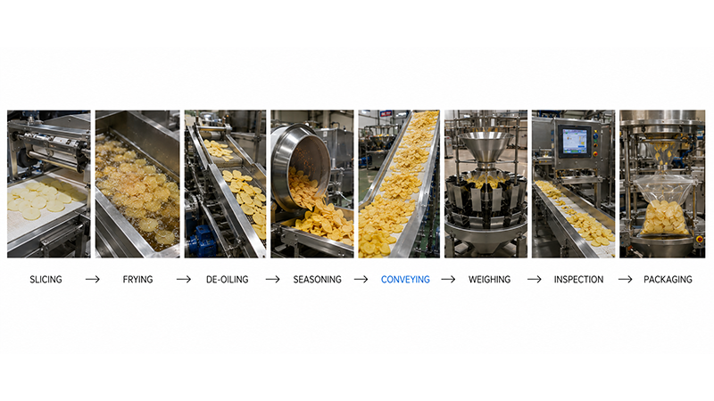Die Rolle der Förderung in der modernen Kartoffelchip-Produktion 